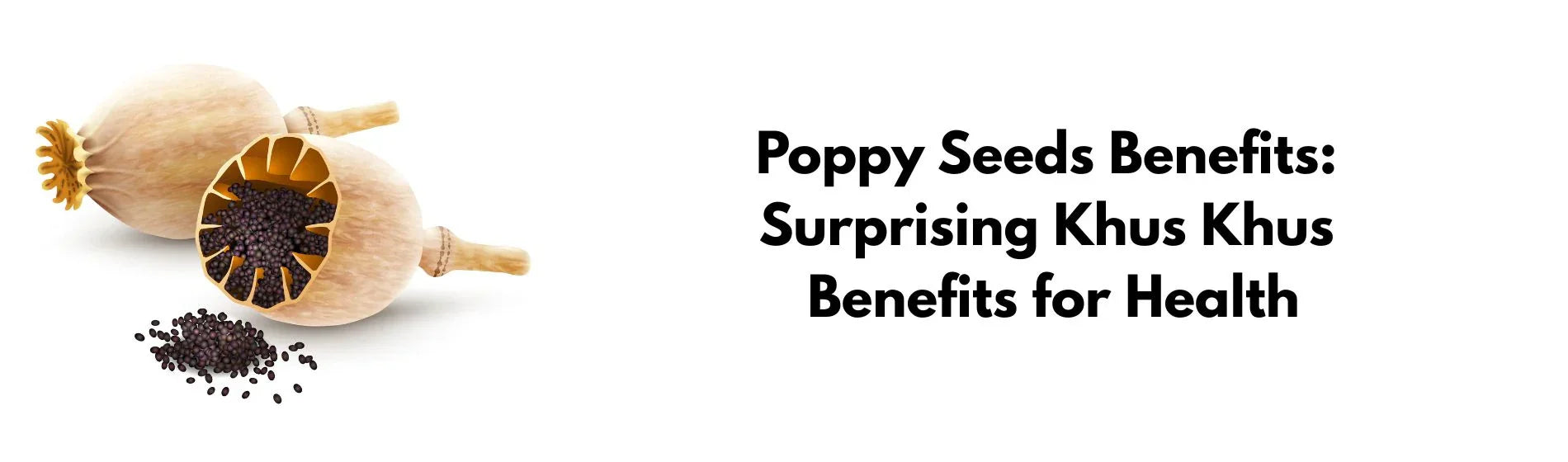 Poppy Seeds Benefits: Why Khus Khus Seed Deserves a Spot in Your Pantry